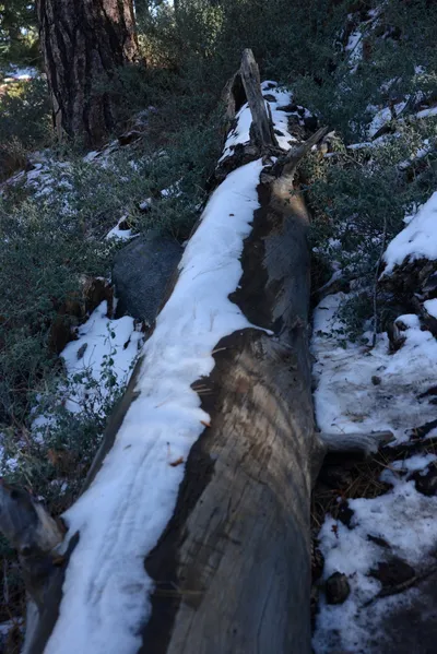 DSC_5070 (Large).JPG